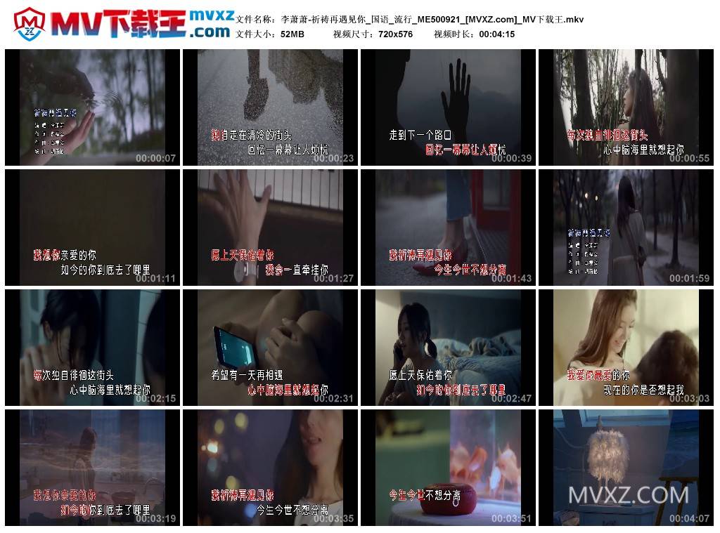 李萧萧-祈祷再遇见你_国语_流行_ME500921